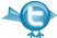 Follow Us on Twitter